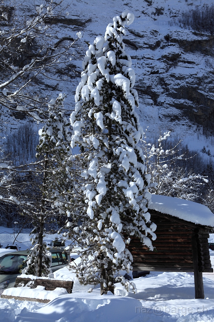 EOS 5D Mark II09_02_20133742.JPG